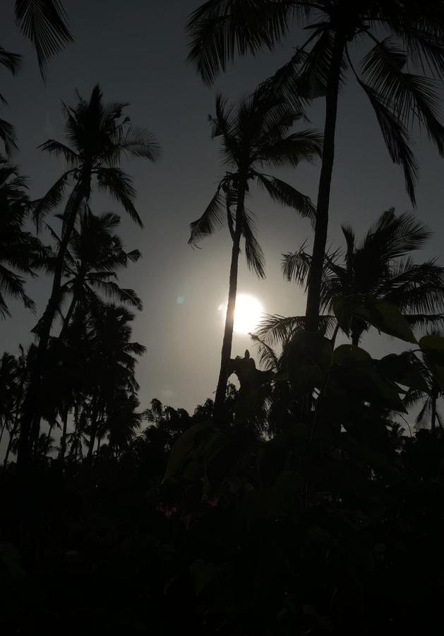 Afriican Village Zanzibar Michamvi Dış mekan fotoğraf