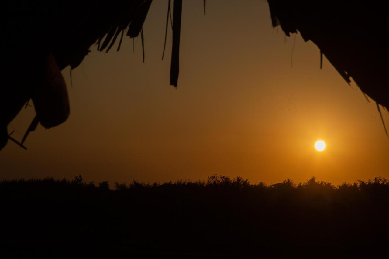 Afriican Village Zanzibar Michamvi Dış mekan fotoğraf